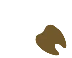 親知らず